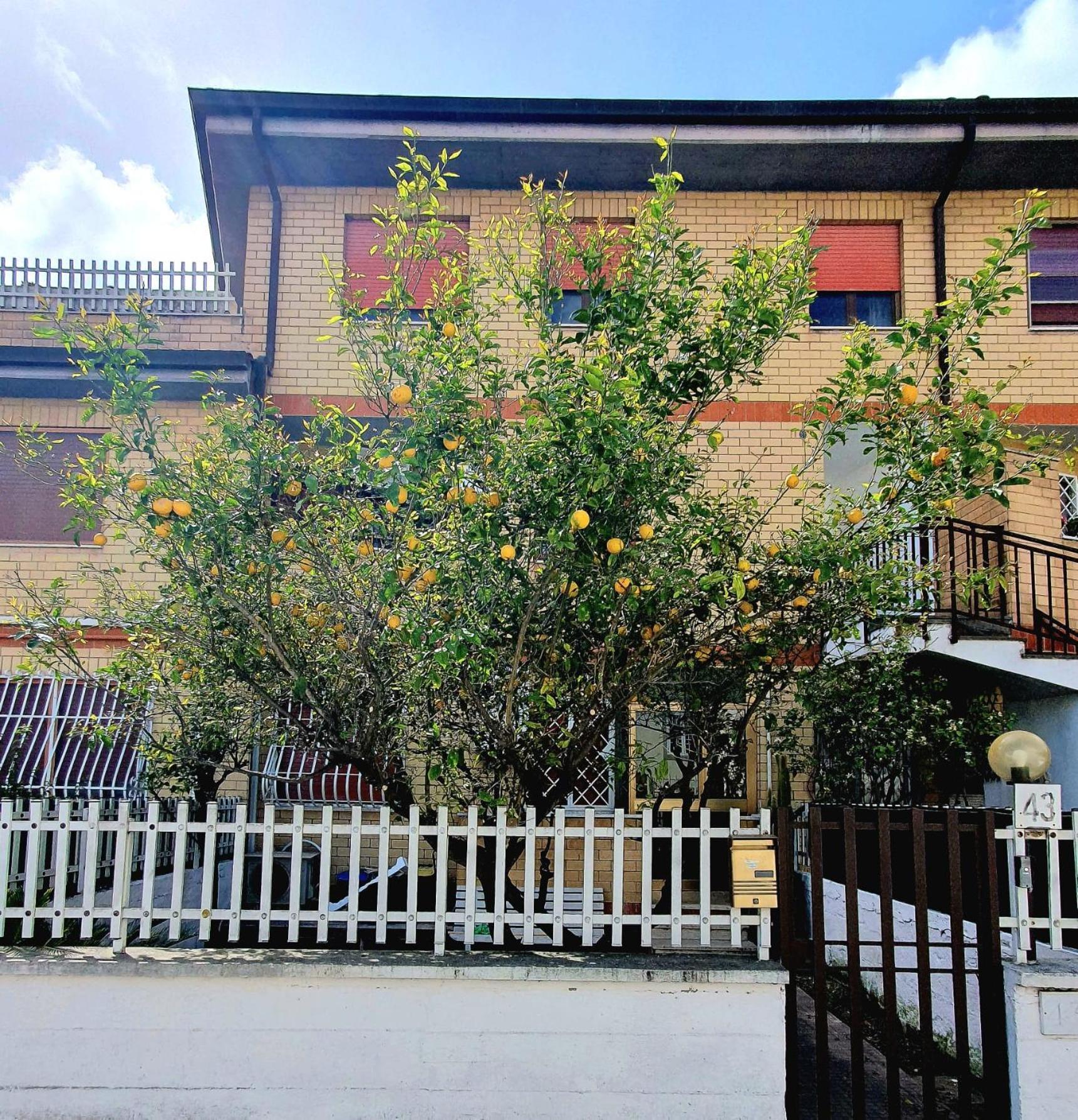 Lemon Tree House Apartment ออสเตียอันตีกา ภายนอก รูปภาพ