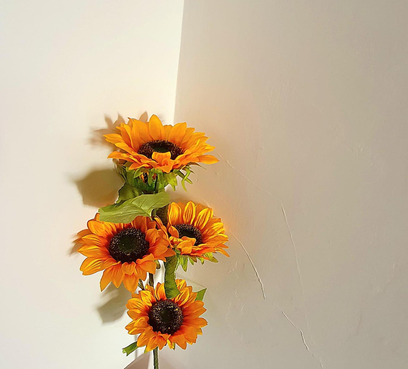 Lemon Tree House Apartment ออสเตียอันตีกา ภายนอก รูปภาพ